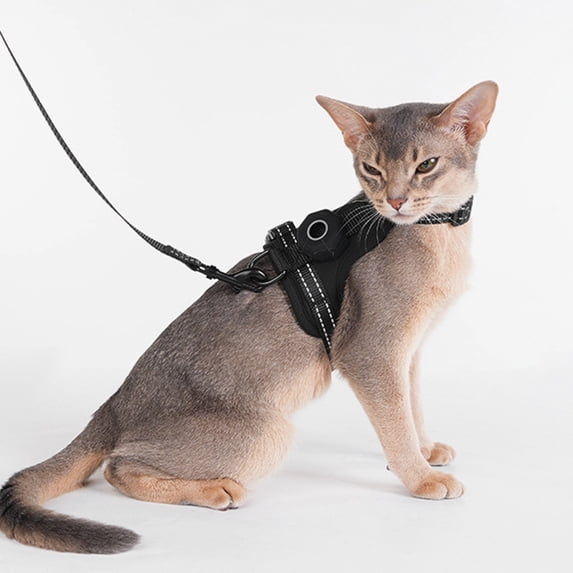 Empower your feline's natural curiosity with unwavering dual-layer safety, ensuring every outdoor exploration feels entirely secure and featherlight.