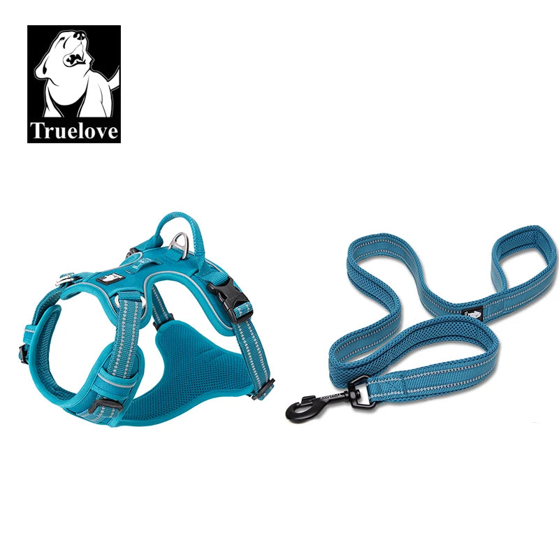 Reclaim the joy of your daily walks. A mindful, no-pull harness designed for ultimate comfort, unwavering safety, and a deeper connection with your dog.