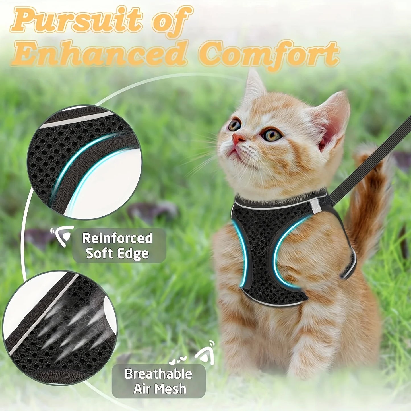 Curiosity Without the Fear: The Houdini-Proof Harness for Your Kitten’s First Great Adventure