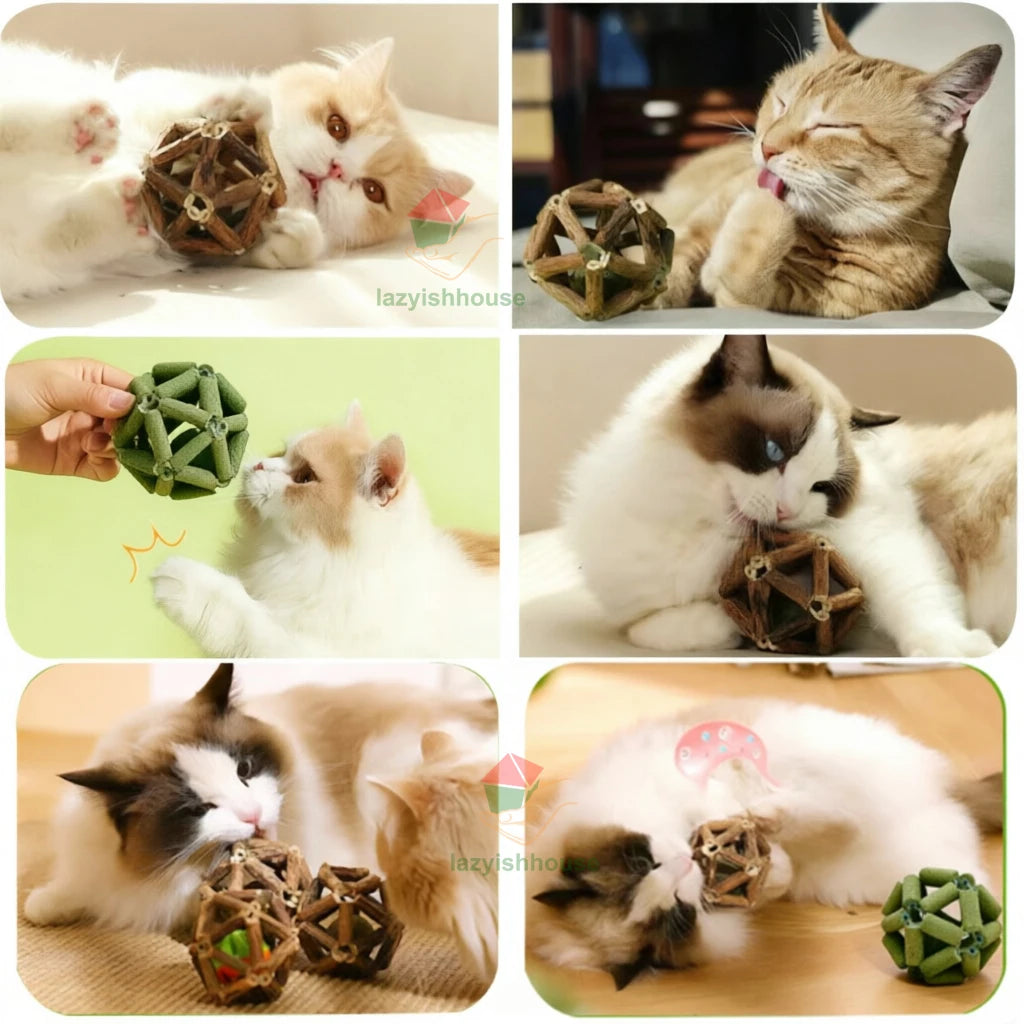 Awaken your cat’s natural vitality with a purely organic, handcrafted chew that transforms dental care into a mindful moment of holistic joy.