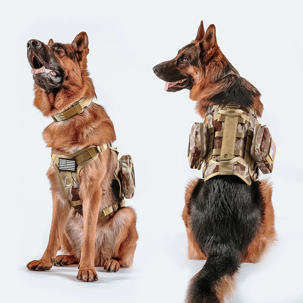 Unleash their inner guardian and conquer the wild together. A heavy-duty, 5-piece military-grade tactical setup built for ultimate control, unwavering trust, and the rugged modern lifestyle.