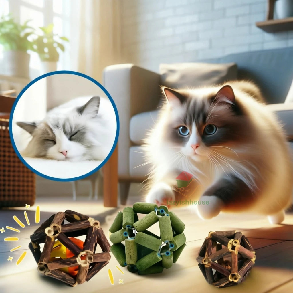 Awaken your cat’s natural vitality with a purely organic, handcrafted chew that transforms dental care into a mindful moment of holistic joy.