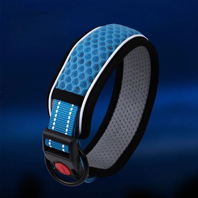 Dog Collar & Walking Leash Set - Pet Neck Collar and Chain