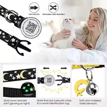 Double the Security, Zero Monthly Fees: The Ultimate Smart Lifeline for Your Adventurous Cat