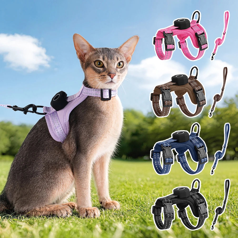 Empower your feline's natural curiosity with unwavering dual-layer safety, ensuring every outdoor exploration feels entirely secure and featherlight.