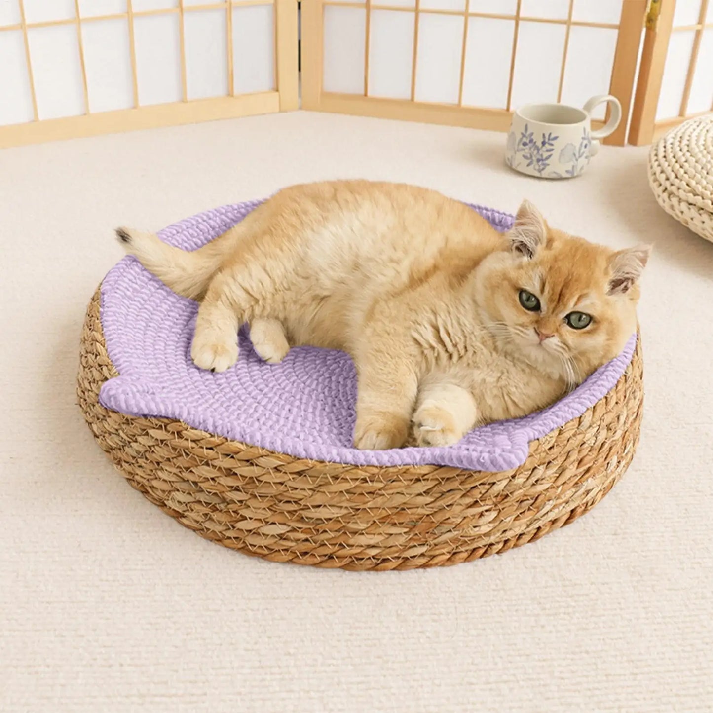 Give your furry best friend a year-round sanctuary for scratching, teething, and snoozing—without ever compromising your home's pristine aesthetic.