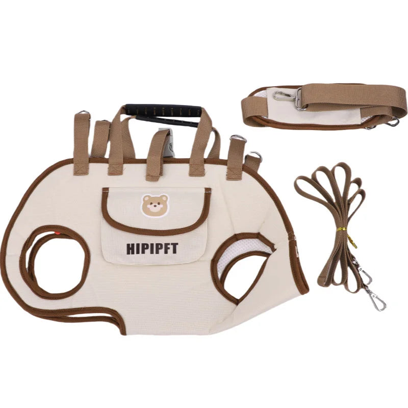 Transform every outing into a mindful journey of comfort and bonding, ensuring your furry companion feels utterly secure wherever life takes you.