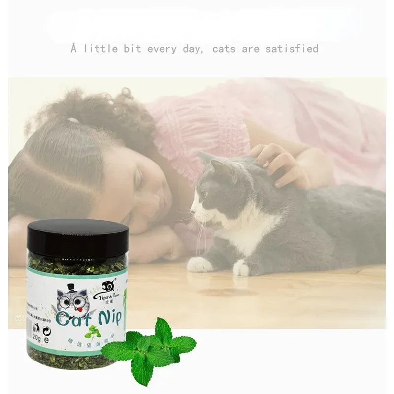 The Ultimate Feline Bliss: Give Your Little Hunter the 100% Organic High They Deserve