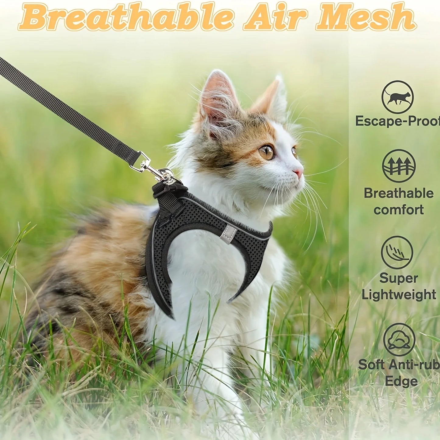Curiosity Without the Fear: The Houdini-Proof Harness for Your Kitten’s First Great Adventure