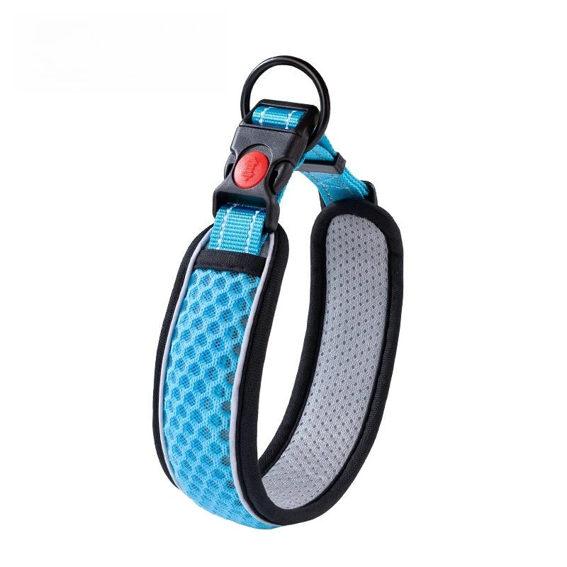 Dog Collar & Walking Leash Set - Pet Neck Collar and Chain