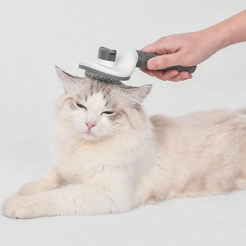 Transform the daily struggle against flying fur into a cloud-soft massage ritual—safely capturing loose undercoat while pampering your cat’s sensitive skin.