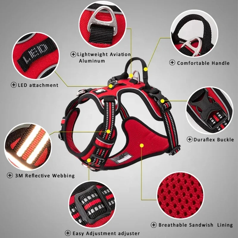 Reclaim the joy of your daily walks. A mindful, no-pull harness designed for ultimate comfort, unwavering safety, and a deeper connection with your dog.