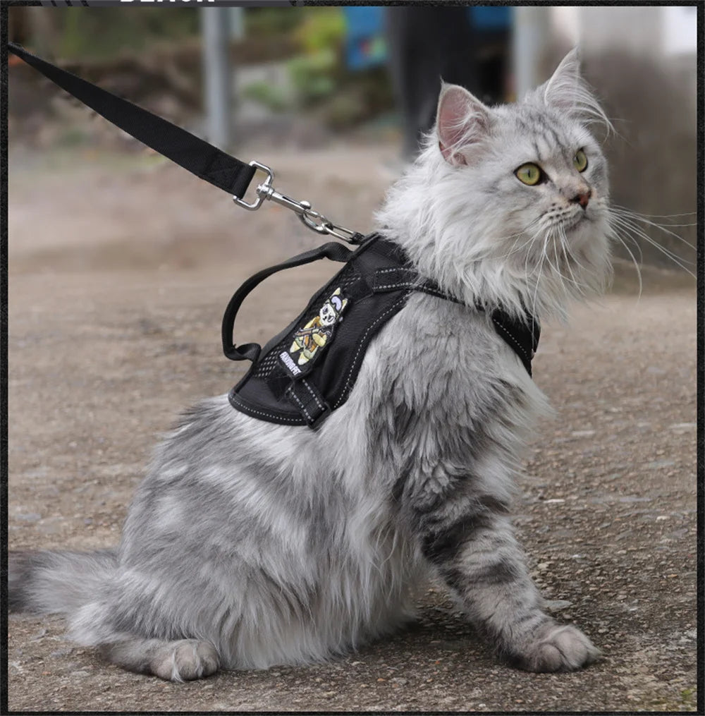 The Tactical Explorer: Why Your Adventure Cat Needs a "Neck-Less" Military-Grade Vest
