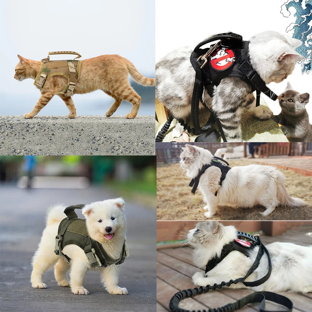 Gear Up for the Bold: Why "Adventure Cats" Need a Tactical Escape-Proof Vest