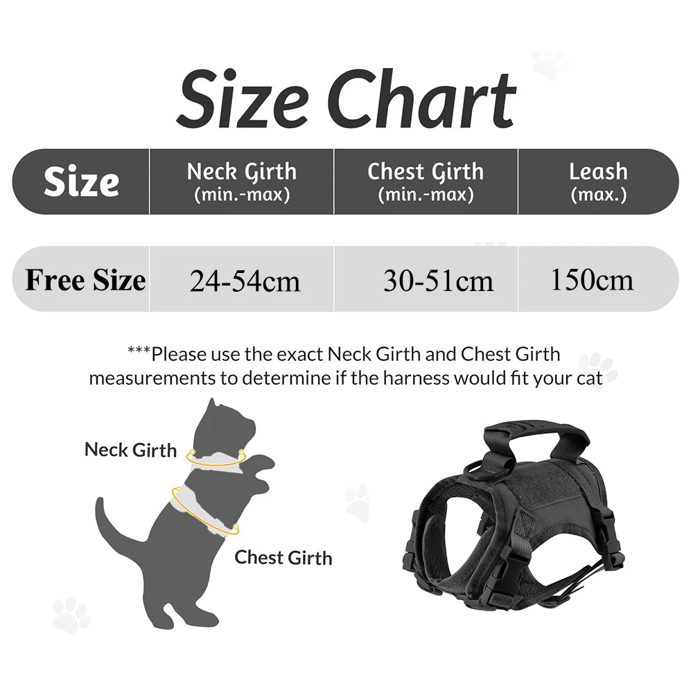 Gear Up for the Bold: Why "Adventure Cats" Need a Tactical Escape-Proof Vest
