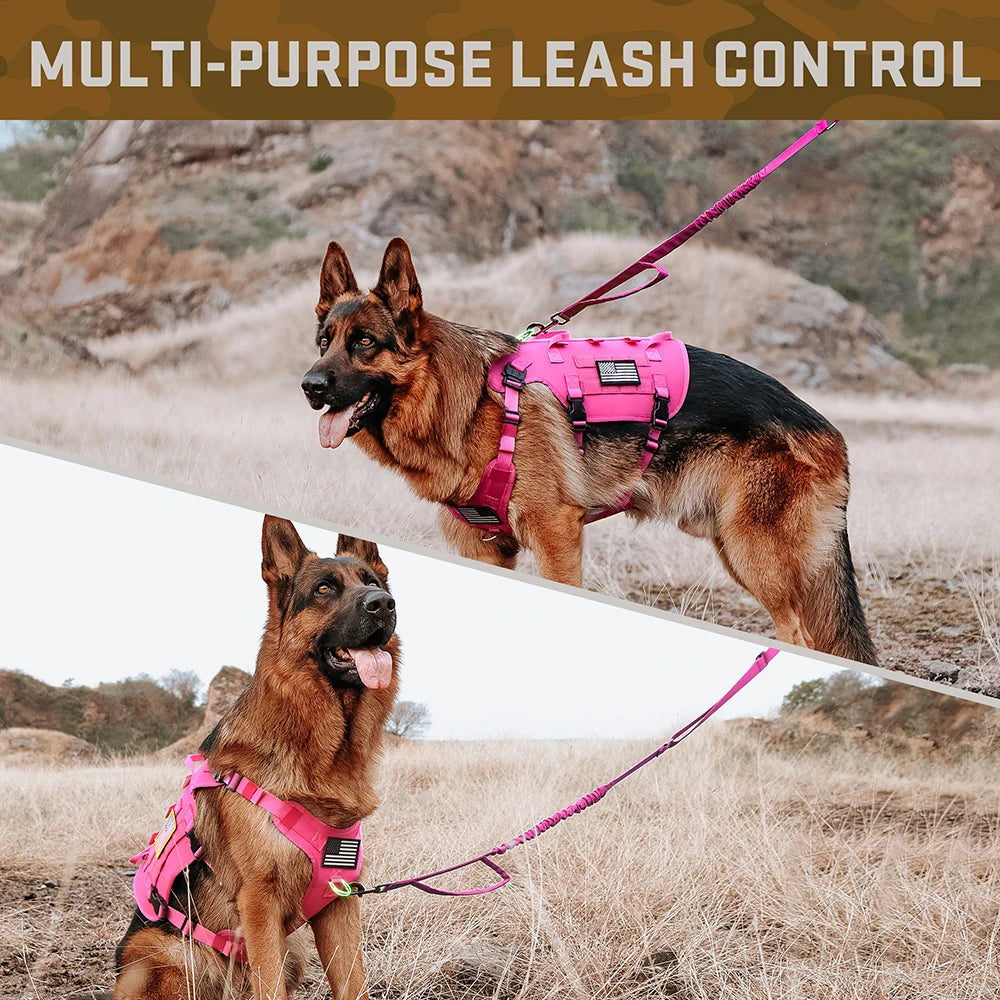 Unleash their inner guardian and conquer the wild together. A heavy-duty, 5-piece military-grade tactical setup built for ultimate control, unwavering trust, and the rugged modern lifestyle.