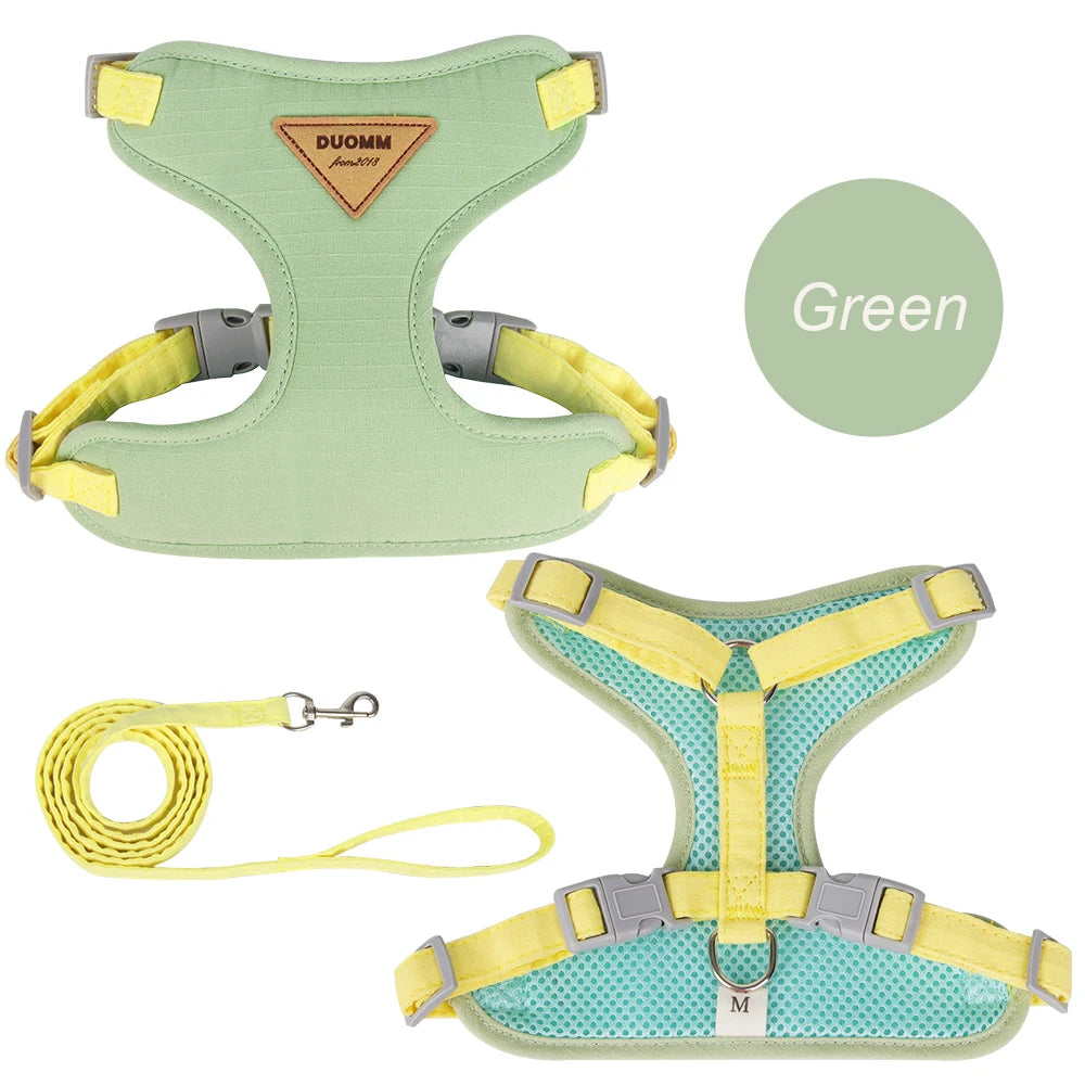 Step outside with absolute confidence and seamless style, knowing your feline adventurer is secure, cool, and comfortably embraced.