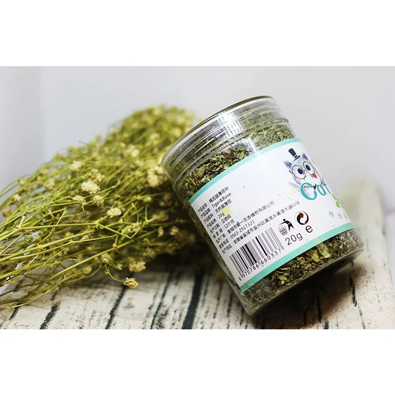 The Ultimate Feline Bliss: Give Your Little Hunter the 100% Organic High They Deserve