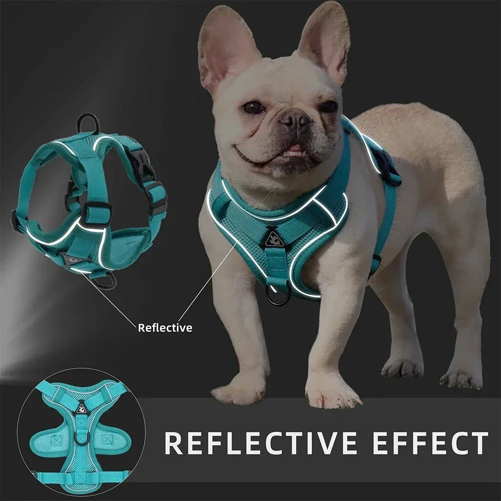 End the Tug-of-War: The Professional 2-in-1 No-Pull Harness for Active Explorers