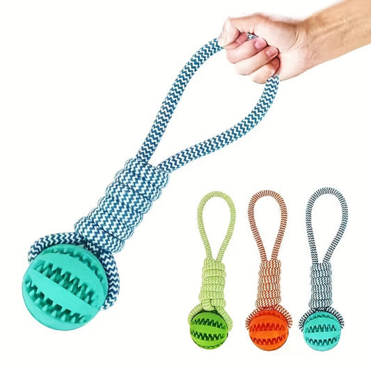 Bonding Through Play: Why Your Smart Pup Deserves More Than Just a Basic Chew