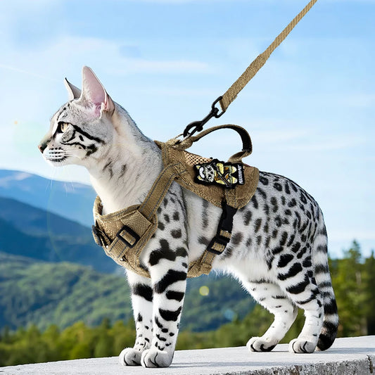 The Tactical Explorer: Why Your Adventure Cat Needs a "Neck-Less" Military-Grade Vest