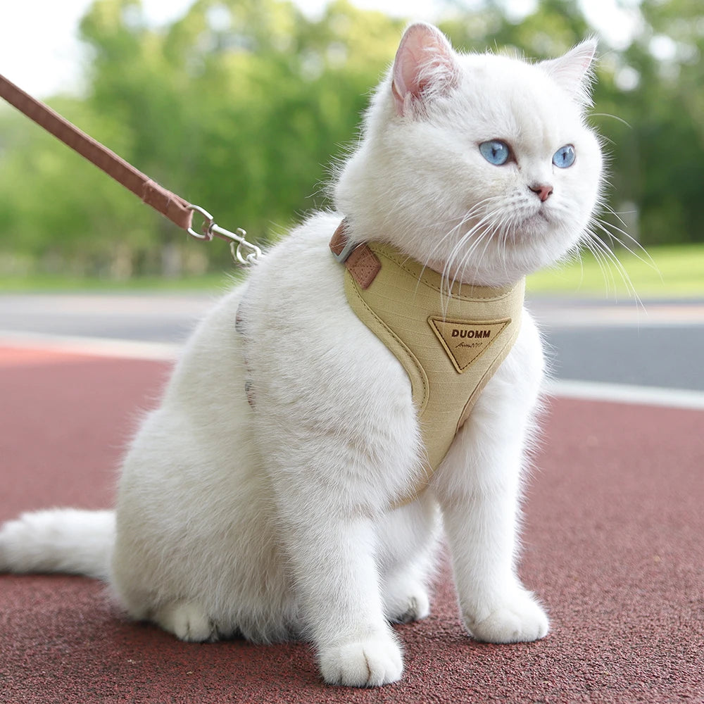Step outside with absolute confidence and seamless style, knowing your feline adventurer is secure, cool, and comfortably embraced.