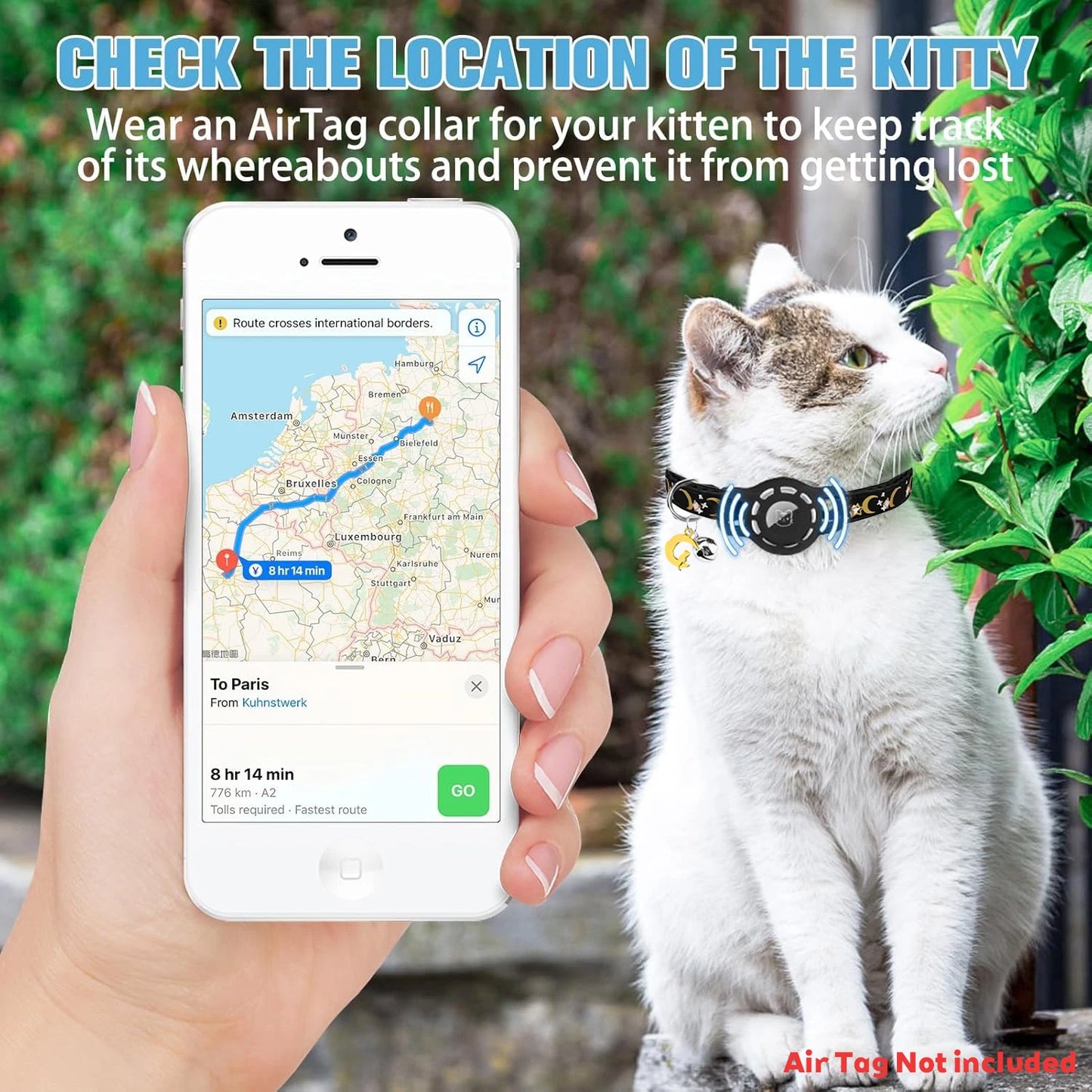 Double the Security, Zero Monthly Fees: The Ultimate Smart Lifeline for Your Adventurous Cat