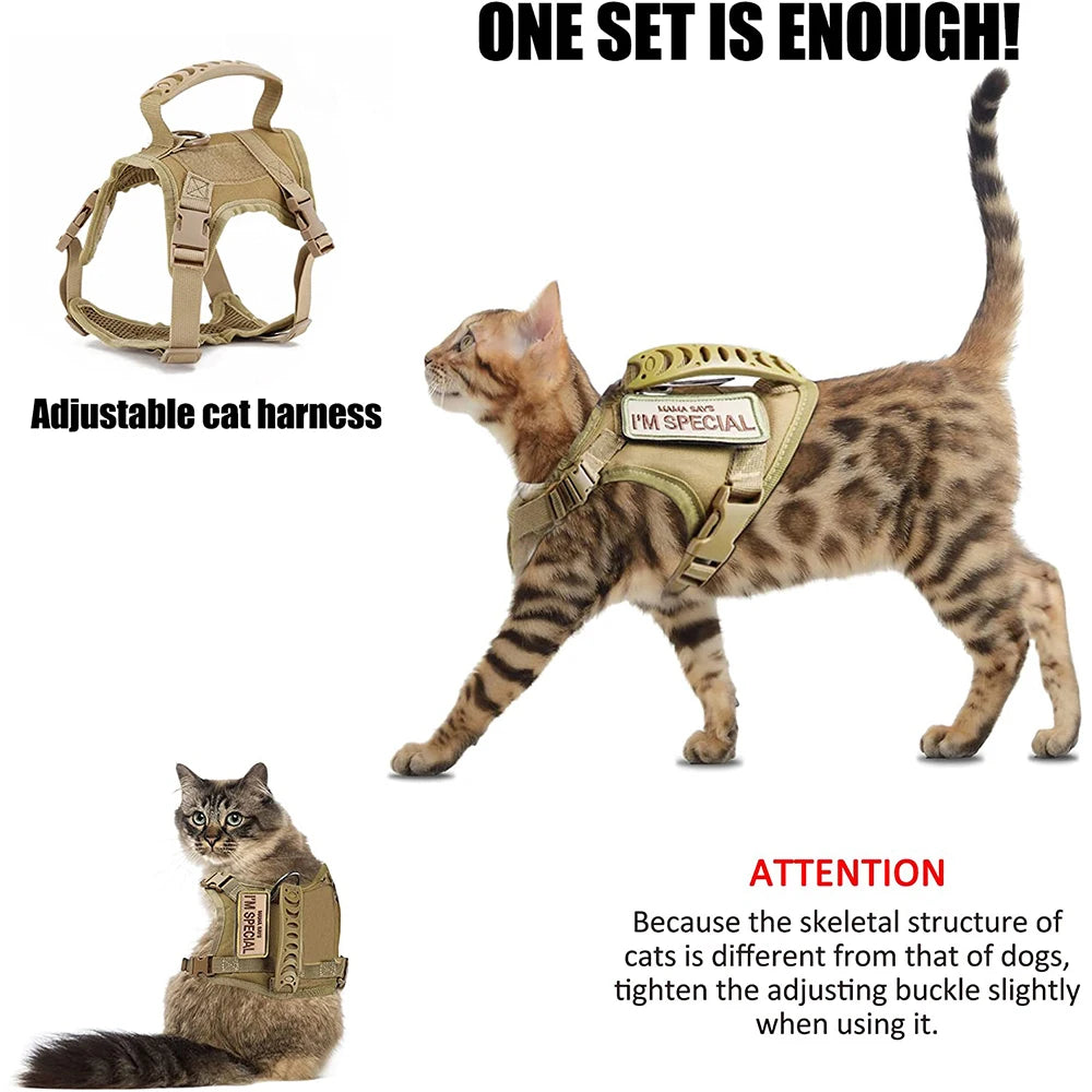 Gear Up for the Bold: Why "Adventure Cats" Need a Tactical Escape-Proof Vest