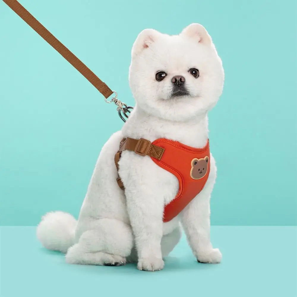 Security Meets Style: Why Your Furry Companion Deserves a Hug, Not Just a Harness