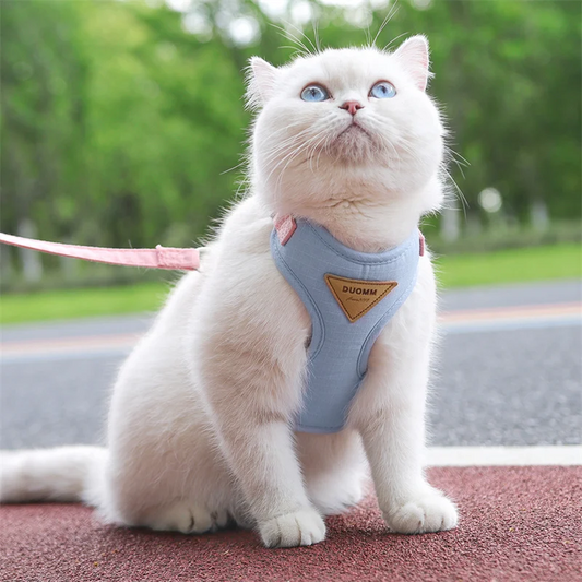 Step outside with absolute confidence and seamless style, knowing your feline adventurer is secure, cool, and comfortably embraced.