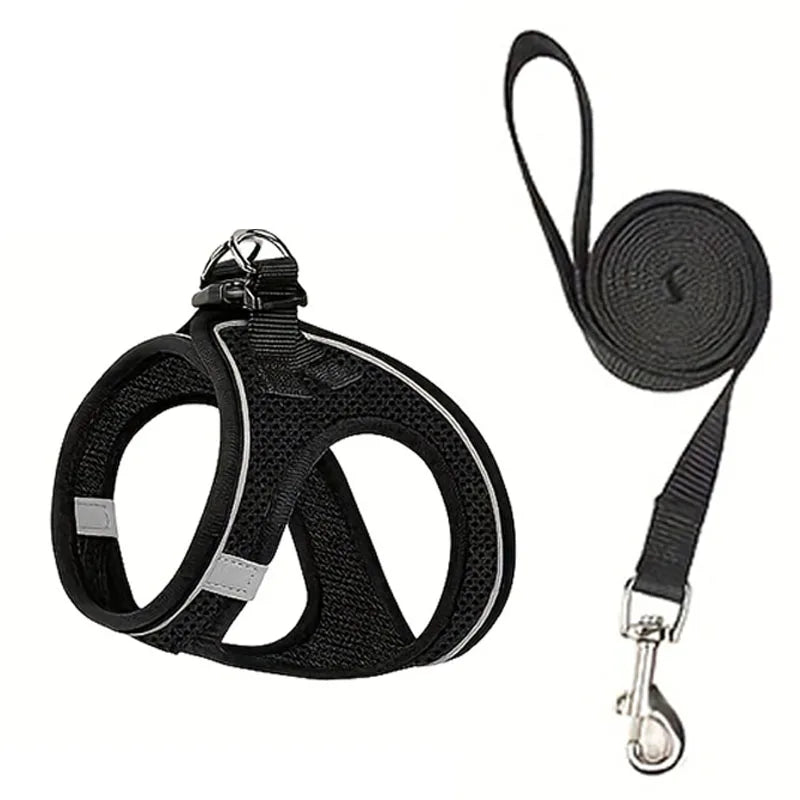 Curiosity Without the Fear: The Houdini-Proof Harness for Your Kitten’s First Great Adventure