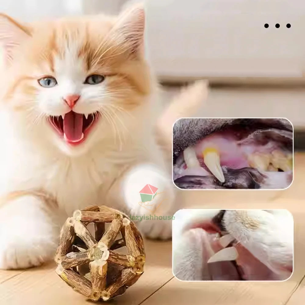 Awaken your cat’s natural vitality with a purely organic, handcrafted chew that transforms dental care into a mindful moment of holistic joy.