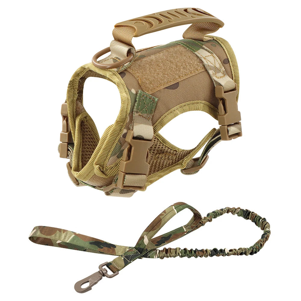 Gear Up for the Bold: Why "Adventure Cats" Need a Tactical Escape-Proof Vest