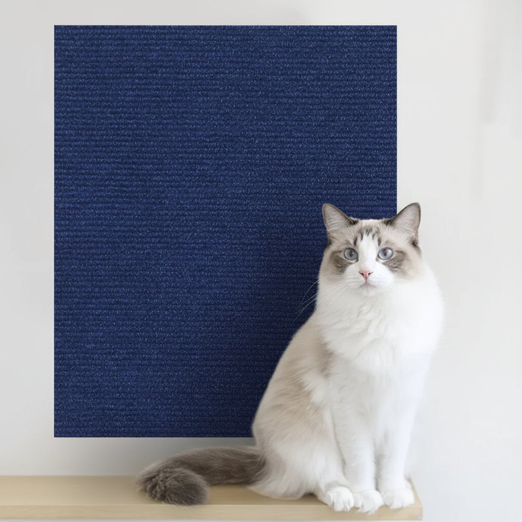 End the constant warfare between your cat’s primal scratching instincts and your designer home—transforming any vulnerable surface into a sleek, indestructible sanctuary.