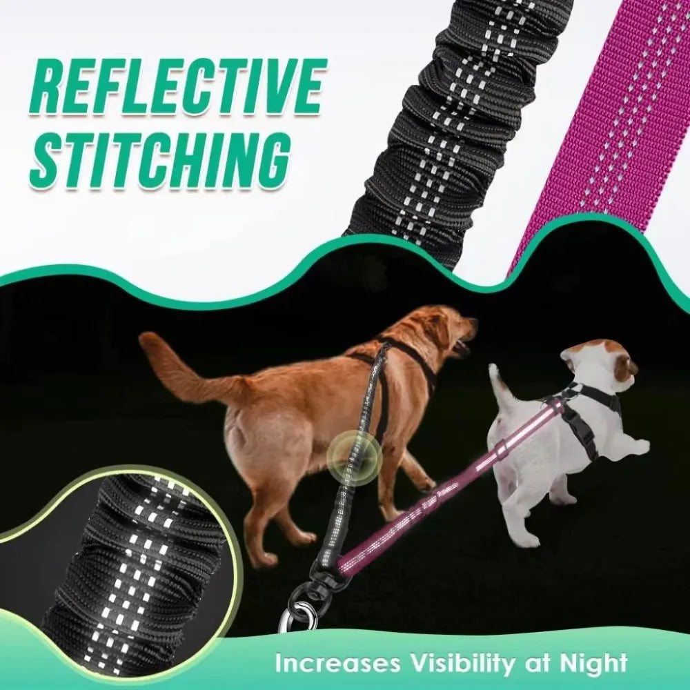 Restore peace and harmony to your daily walks. An innovative, tangle-free dual leash system that elegantly balances the different energies of your dogs while repurposing your favorite old leash.