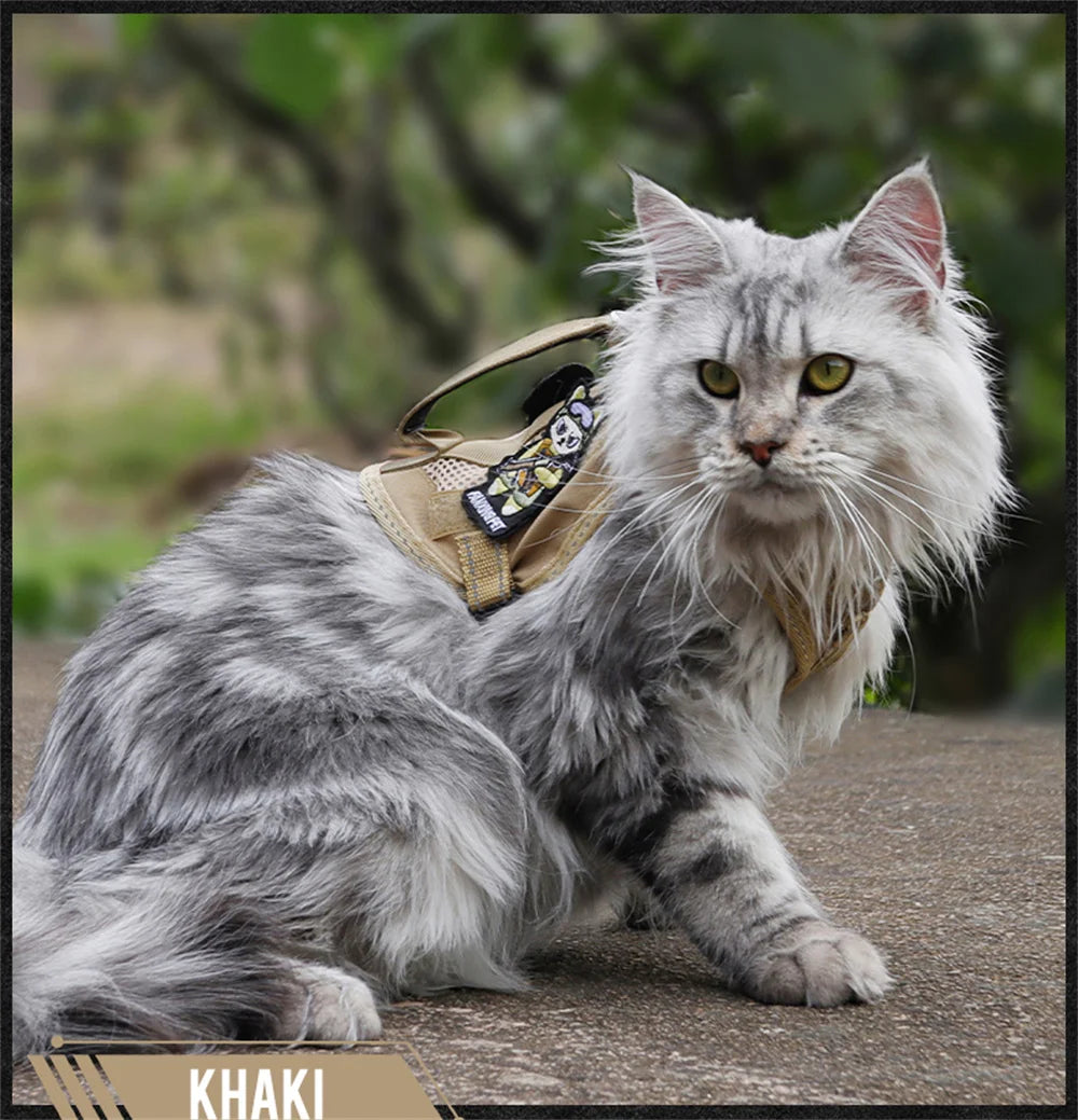 The Tactical Explorer: Why Your Adventure Cat Needs a "Neck-Less" Military-Grade Vest
