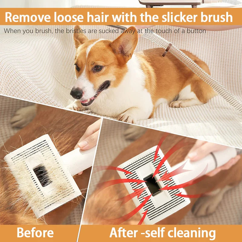 Pro Pet Grooming Clippers Kit