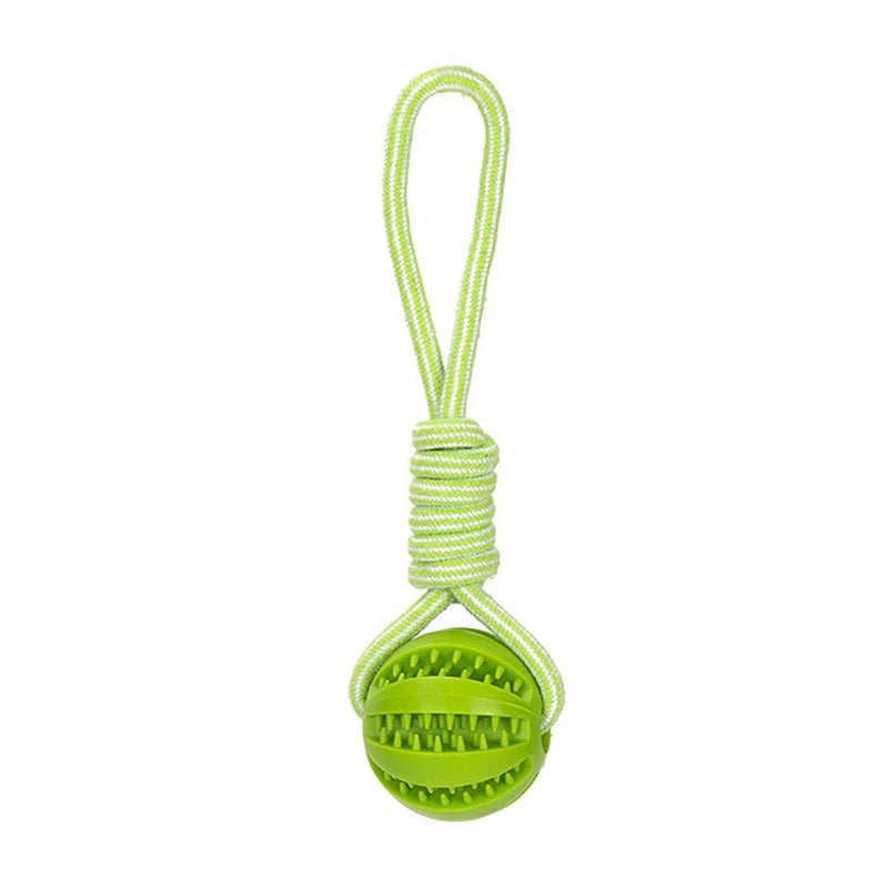 Bonding Through Play: Why Your Smart Pup Deserves More Than Just a Basic Chew