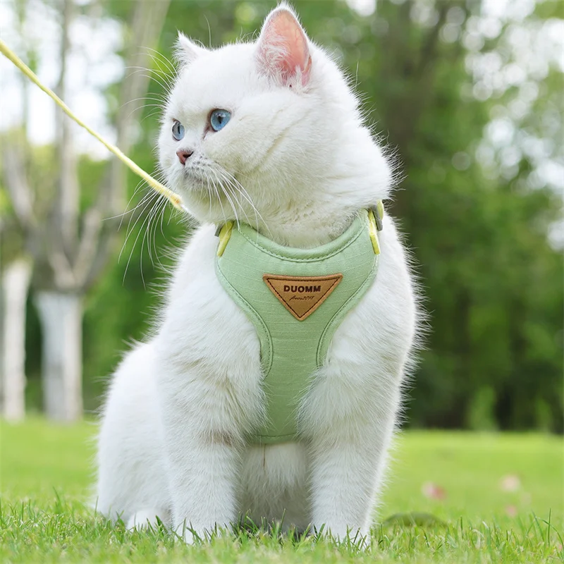 Step outside with absolute confidence and seamless style, knowing your feline adventurer is secure, cool, and comfortably embraced.