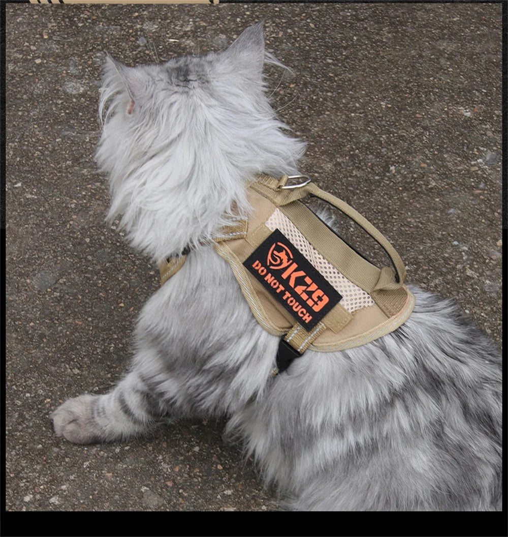 The Tactical Explorer: Why Your Adventure Cat Needs a "Neck-Less" Military-Grade Vest
