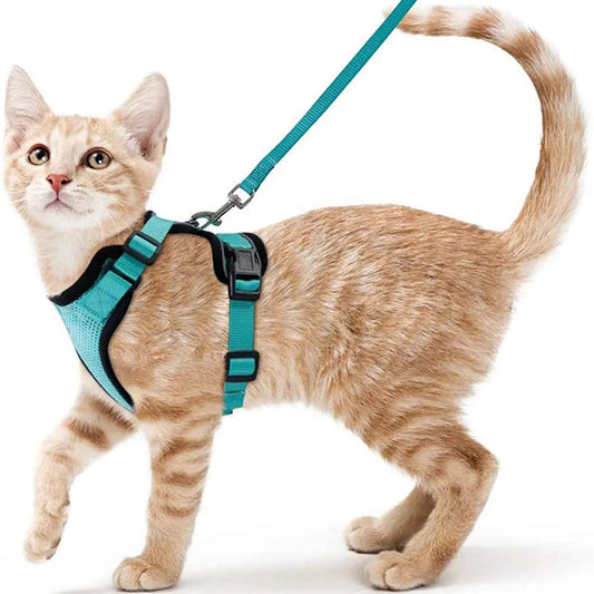 Escape Proof Cat Harness | Adjustable Mesh Vest with Leash