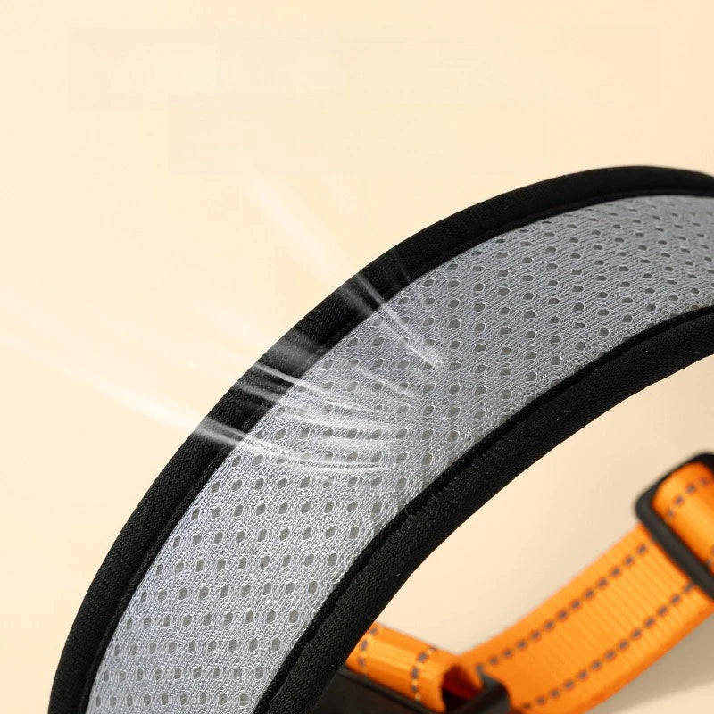 Dog Collar & Walking Leash Set - Pet Neck Collar and Chain