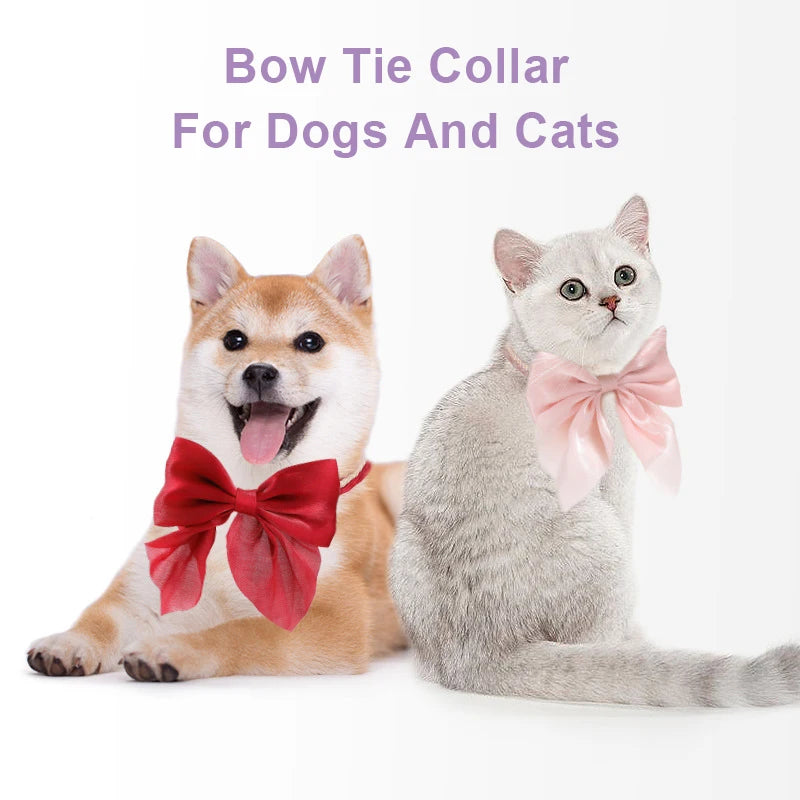 Pet Bow Tie Collar for Cats & Small Dogs