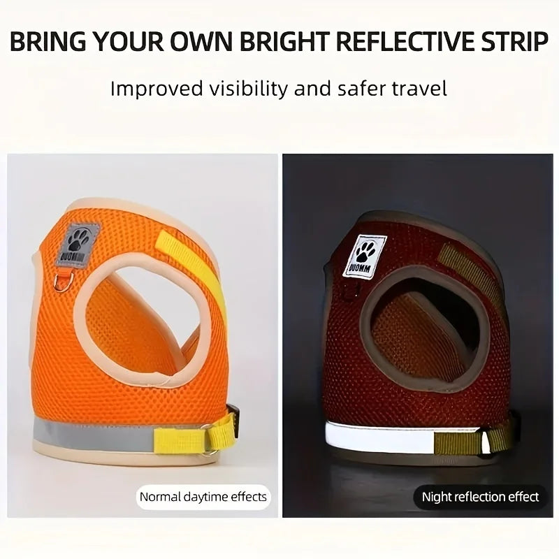 Safe Exploration Starts Here: The Breathable, Escape-Proof Nest for Your Adventure Cat