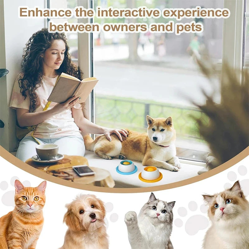 Beyond Feeding: Give Your Pet the "Zen Sanctuary" They Deserve