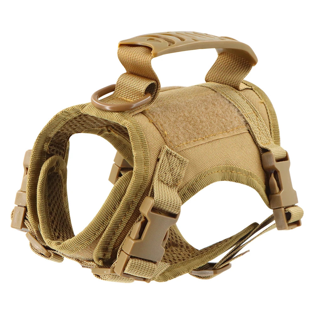 Gear Up for the Bold: Why "Adventure Cats" Need a Tactical Escape-Proof Vest