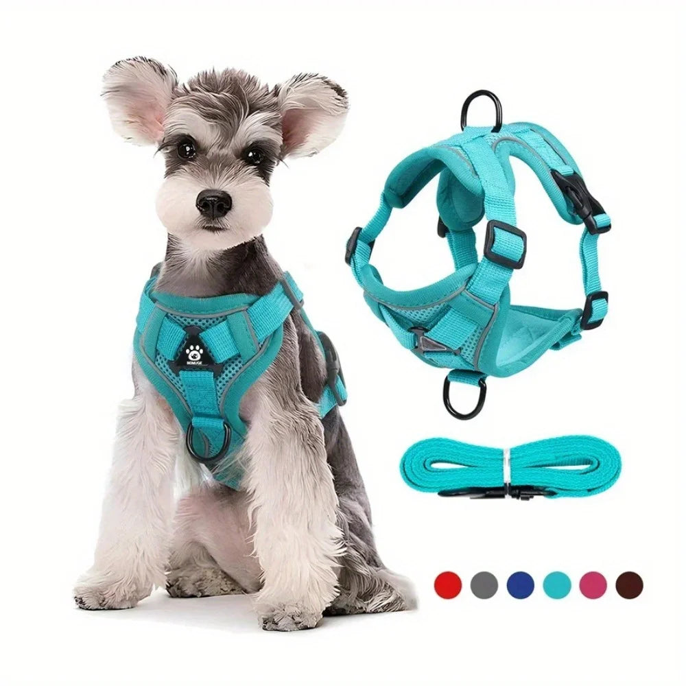 End the Tug-of-War: The Professional 2-in-1 No-Pull Harness for Active Explorers