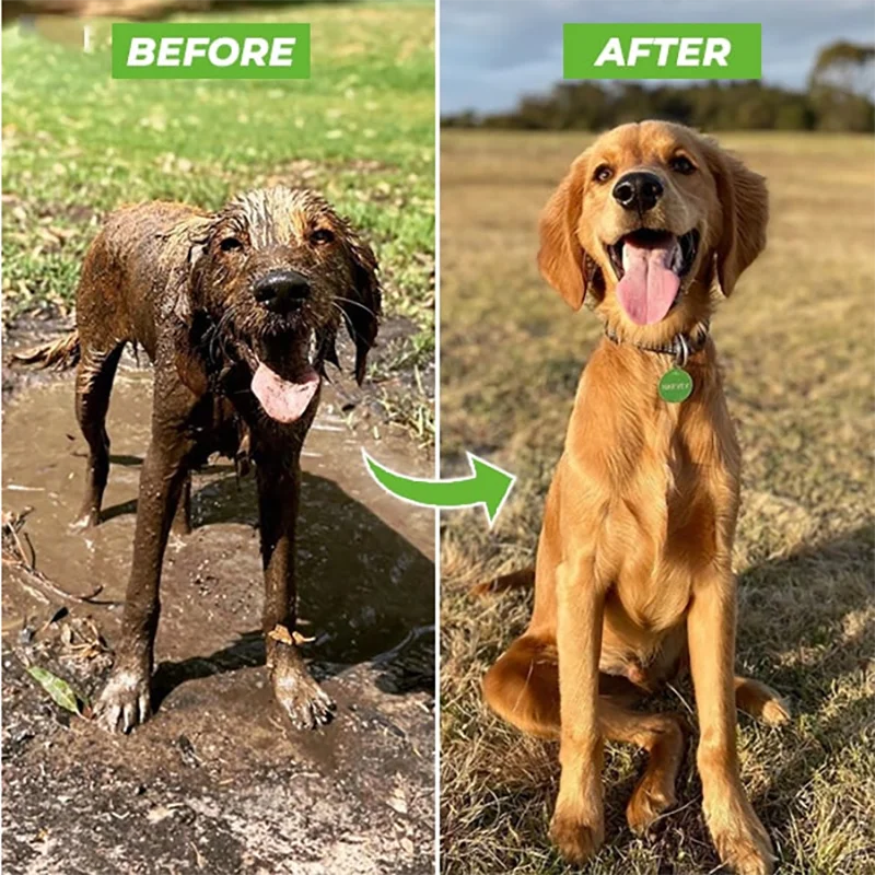Transform messy bath times into a therapeutic outdoor spa ritual, keeping your pet blissful and your home completely stress-free.