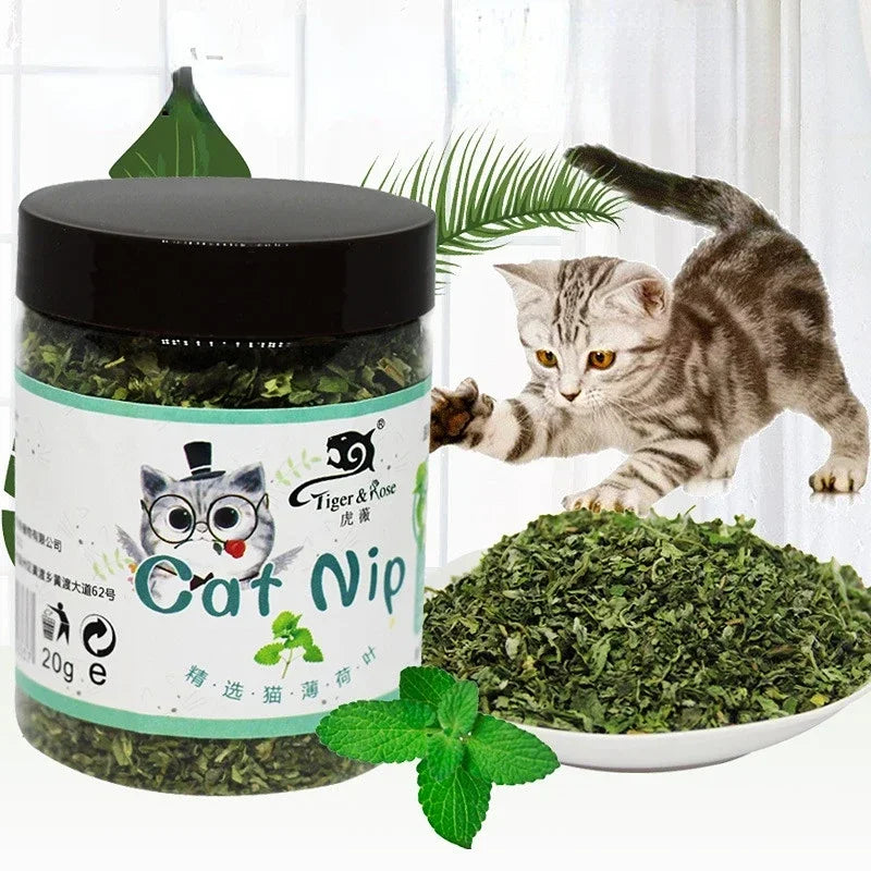 The Ultimate Feline Bliss: Give Your Little Hunter the 100% Organic High They Deserve