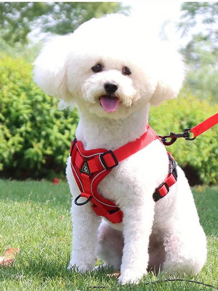 End the Tug-of-War: The Professional 2-in-1 No-Pull Harness for Active Explorers
